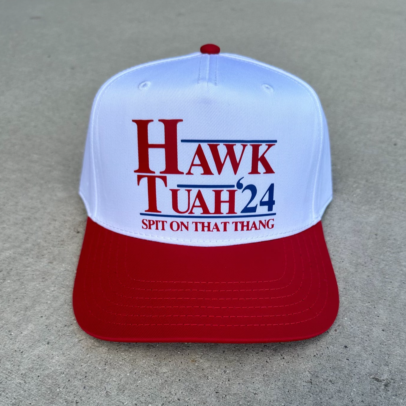 Hawk Tuah '24 Hat